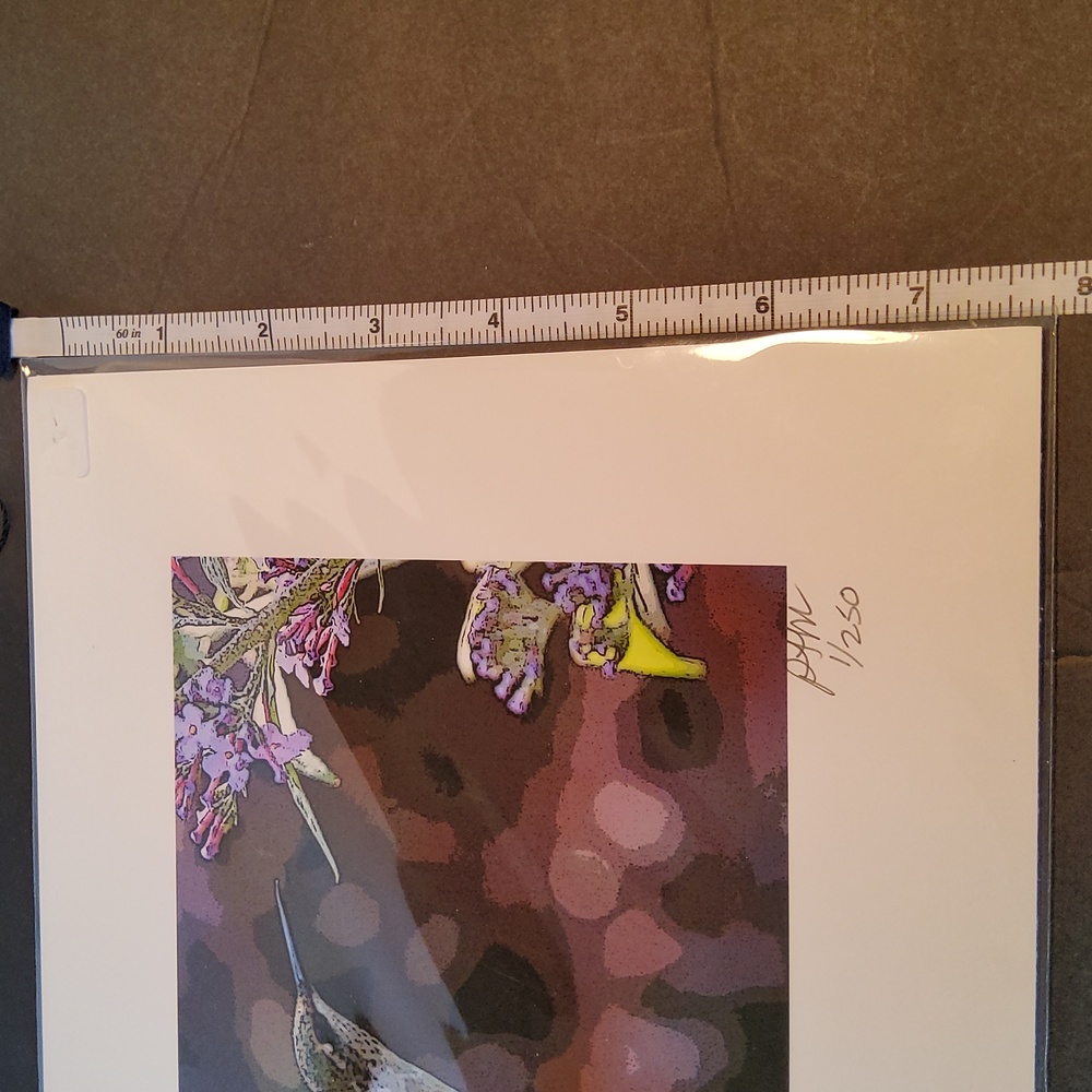 Hummingbird print 1/250 Peter James Maurer . - Picture 5 of 8
